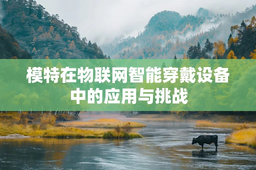 模特在物联网智能穿戴设备中的应用与挑战