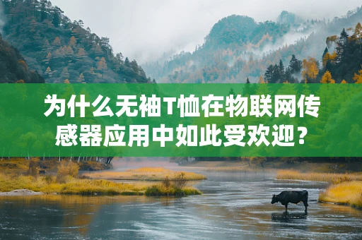为什么无袖T恤在物联网传感器应用中如此受欢迎？