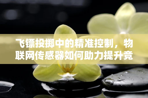 飞镖投掷中的精准控制，物联网传感器如何助力提升竞技水平？