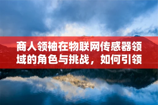 商人领袖在物联网传感器领域的角色与挑战，如何引领技术创新与市场洞察？