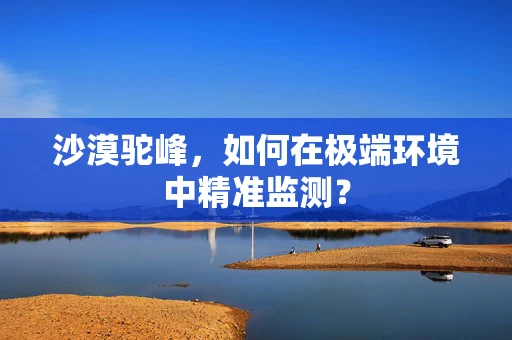 沙漠驼峰，如何在极端环境中精准监测？