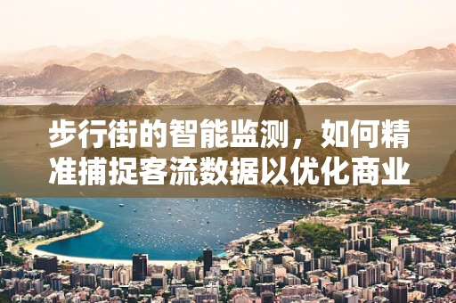 步行街的智能监测，如何精准捕捉客流数据以优化商业布局？