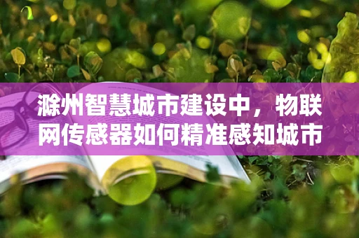 滁州智慧城市建设中，物联网传感器如何精准感知城市脉动？