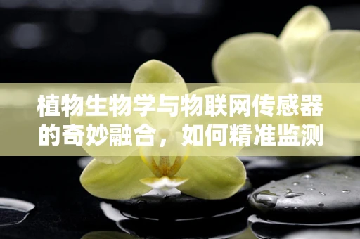 植物生物学与物联网传感器的奇妙融合，如何精准监测植物生长环境？