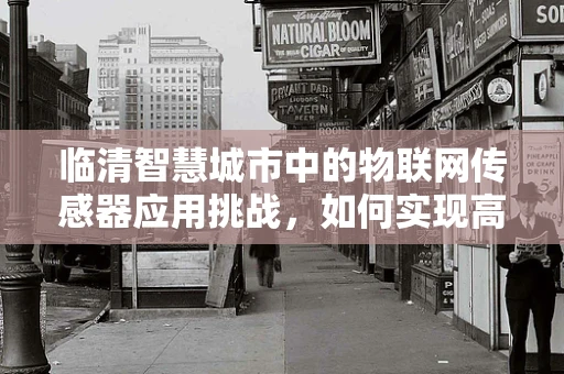临清智慧城市中的物联网传感器应用挑战，如何实现高效能低成本的智能监控？