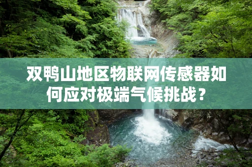 双鸭山地区物联网传感器如何应对极端气候挑战？