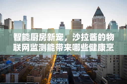 智能厨房新宠，沙拉酱的物联网监测能带来哪些健康烹饪革新？