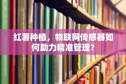 红薯种植，物联网传感器如何助力精准管理？