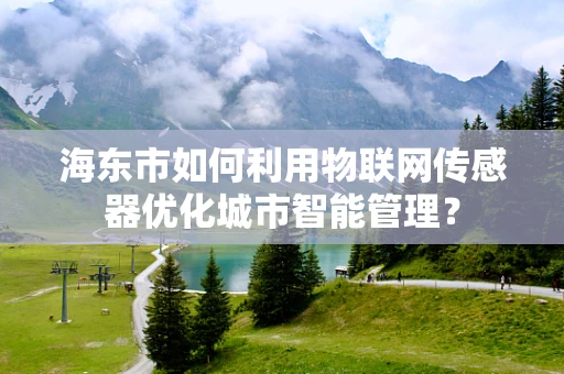 海东市如何利用物联网传感器优化城市智能管理？