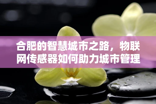 合肥的智慧城市之路，物联网传感器如何助力城市管理？