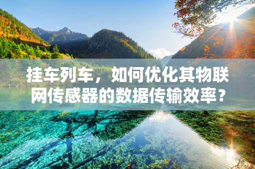挂车列车，如何优化其物联网传感器的数据传输效率？