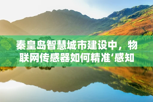 秦皇岛智慧城市建设中，物联网传感器如何精准‘感知’城市脉动？