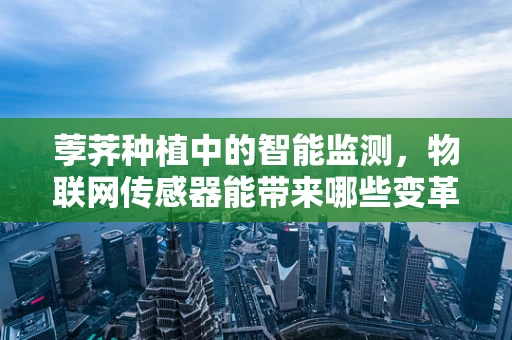 荸荠种植中的智能监测，物联网传感器能带来哪些变革？
