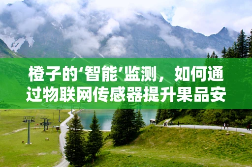 橙子的‘智能’监测，如何通过物联网传感器提升果品安全？