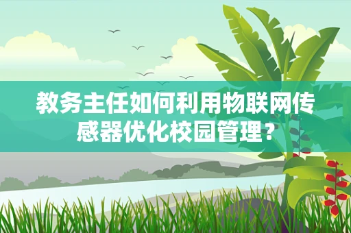 教务主任如何利用物联网传感器优化校园管理？