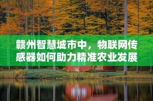 赣州智慧城市中，物联网传感器如何助力精准农业发展？