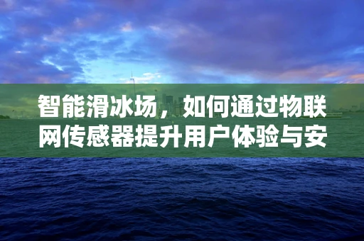 智能滑冰场，如何通过物联网传感器提升用户体验与安全？