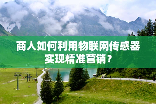 商人如何利用物联网传感器实现精准营销？