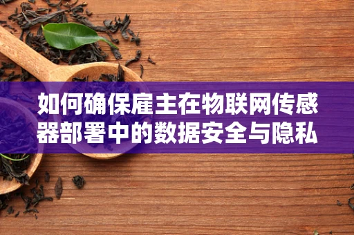 如何确保雇主在物联网传感器部署中的数据安全与隐私保护？