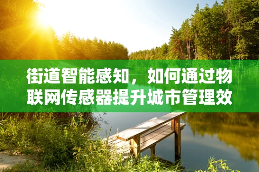 街道智能感知，如何通过物联网传感器提升城市管理效率？