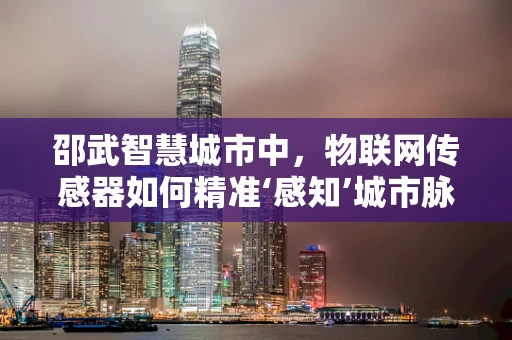 邵武智慧城市中，物联网传感器如何精准‘感知’城市脉动？