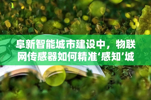 阜新智能城市建设中，物联网传感器如何精准‘感知’城市脉动？