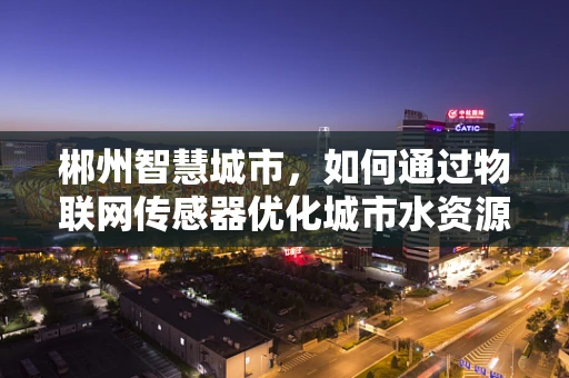 郴州智慧城市，如何通过物联网传感器优化城市水资源管理？