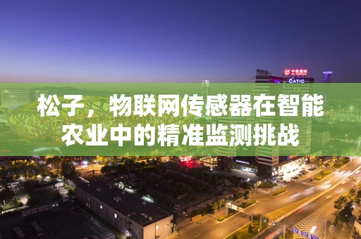 松子，物联网传感器在智能农业中的精准监测挑战