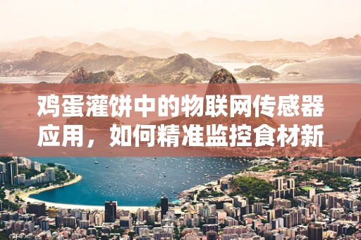 鸡蛋灌饼中的物联网传感器应用，如何精准监控食材新鲜度？