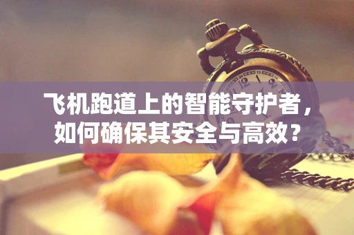 飞机跑道上的智能守护者，如何确保其安全与高效？