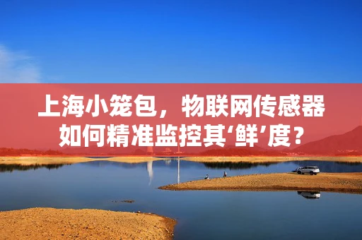 上海小笼包，物联网传感器如何精准监控其‘鲜’度？