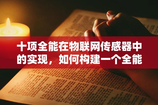 十项全能在物联网传感器中的实现，如何构建一个全能感知的智能网络？