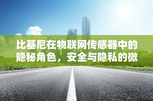 比基尼在物联网传感器中的隐秘角色，安全与隐私的微妙平衡