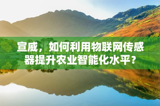 宣威，如何利用物联网传感器提升农业智能化水平？