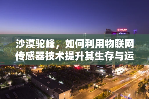 沙漠驼峰，如何利用物联网传感器技术提升其生存与运输效率？