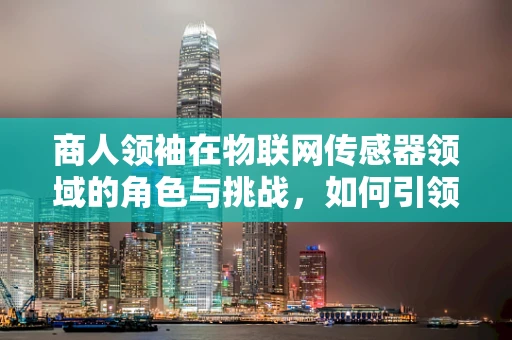 商人领袖在物联网传感器领域的角色与挑战，如何引领创新与价值创造？