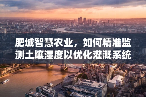 肥城智慧农业，如何精准监测土壤湿度以优化灌溉系统？