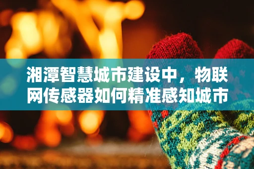 湘潭智慧城市建设中，物联网传感器如何精准感知城市脉动？