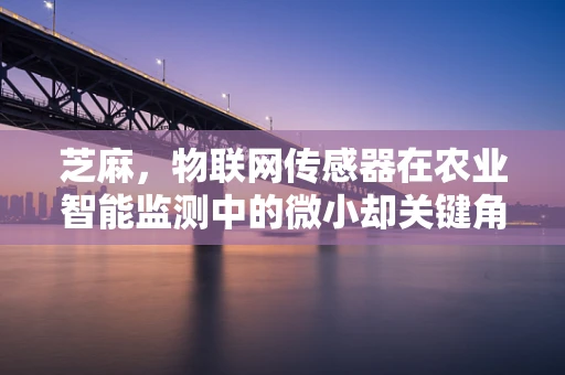 芝麻，物联网传感器在农业智能监测中的微小却关键角色？
