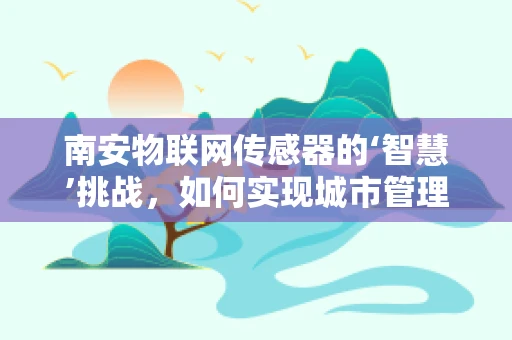 南安物联网传感器的‘智慧’挑战，如何实现城市管理的精准高效？