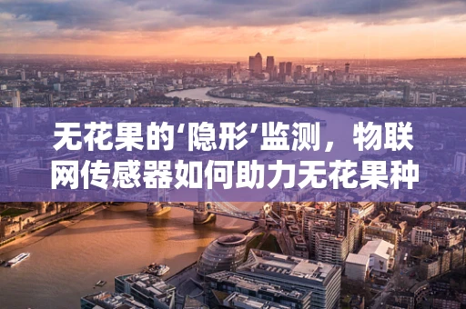 无花果的‘隐形’监测，物联网传感器如何助力无花果种植的智慧化？