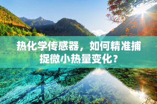 热化学传感器，如何精准捕捉微小热量变化？