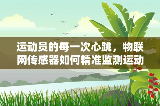 运动员的每一次心跳，物联网传感器如何精准监测运动负荷？