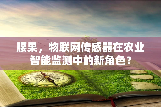 腰果，物联网传感器在农业智能监测中的新角色？