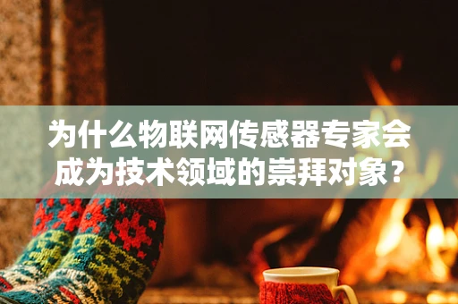 为什么物联网传感器专家会成为技术领域的崇拜对象？
