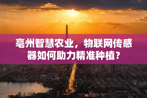 亳州智慧农业，物联网传感器如何助力精准种植？
