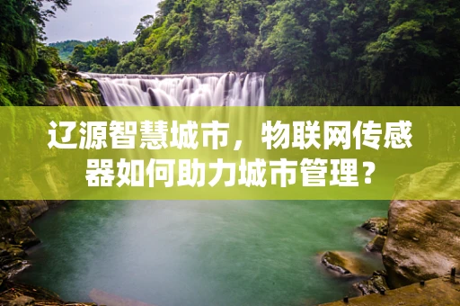 辽源智慧城市，物联网传感器如何助力城市管理？