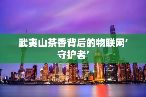 武夷山茶香背后的物联网‘守护者’