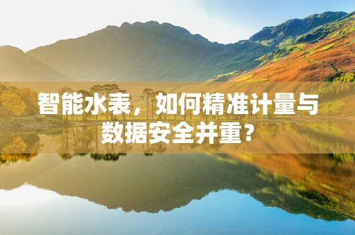 智能水表，如何精准计量与数据安全并重？
