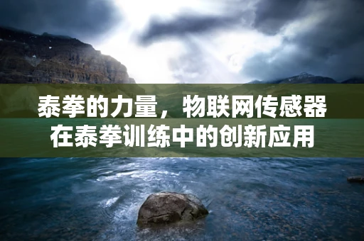 泰拳的力量，物联网传感器在泰拳训练中的创新应用